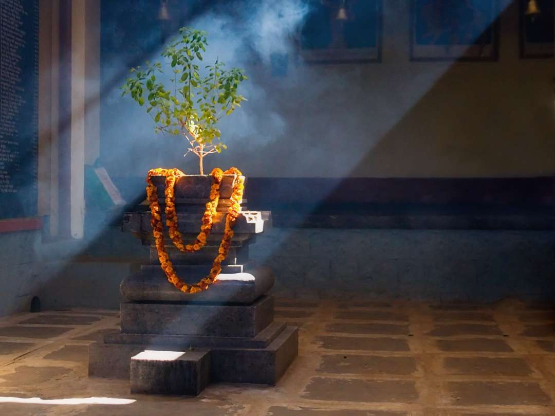 तुलसी माता की आरती